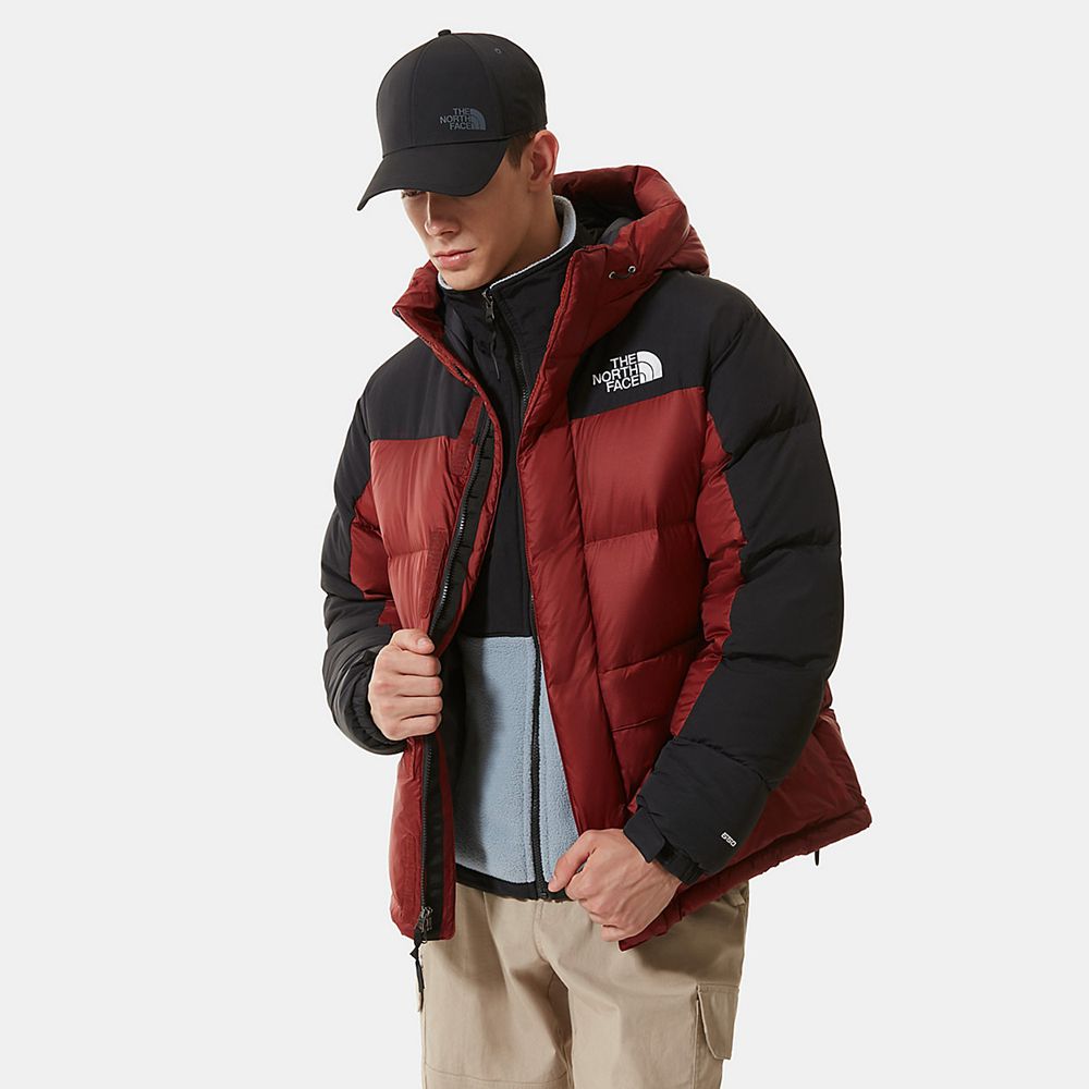 The North Face Puffer Jacket Mens Australia - The North Face Himalayan Red (LUM-017984)